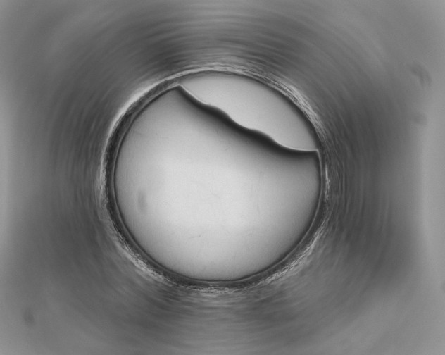 X0000112890780200909041701
