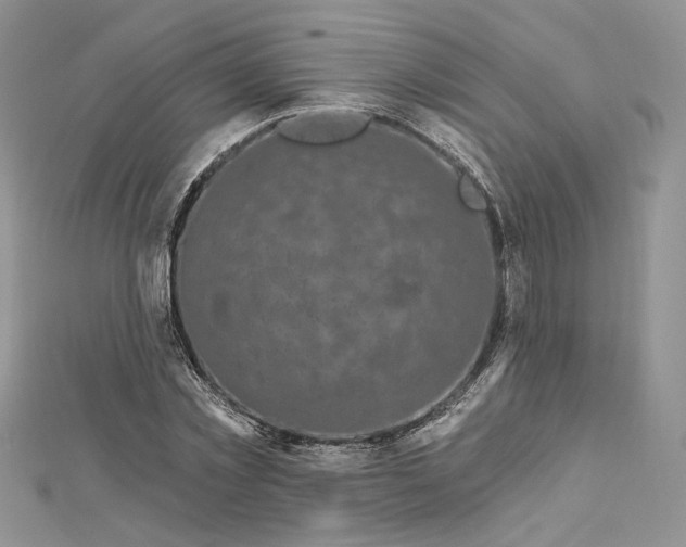 X0000112890781200909041701