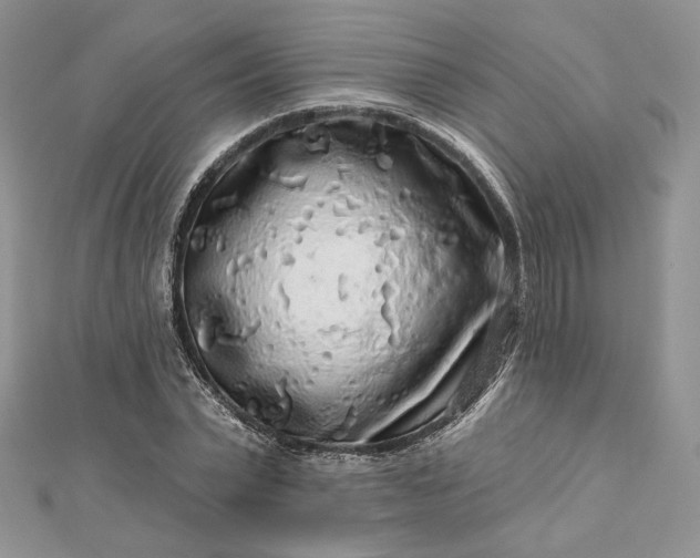 X0000112890783200909041701