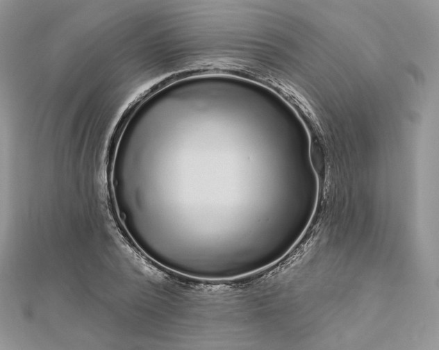 X0000112890784200909041701