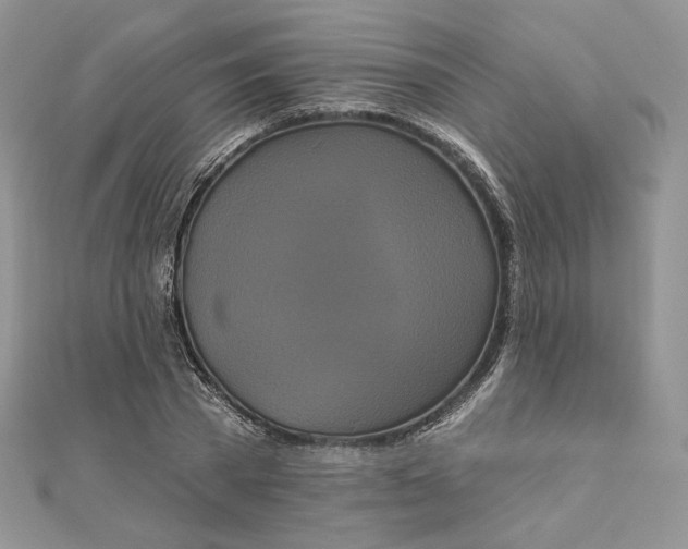 X0000112890785200909041701