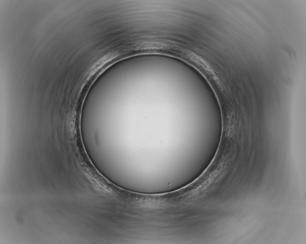 X0000112890786200909041701