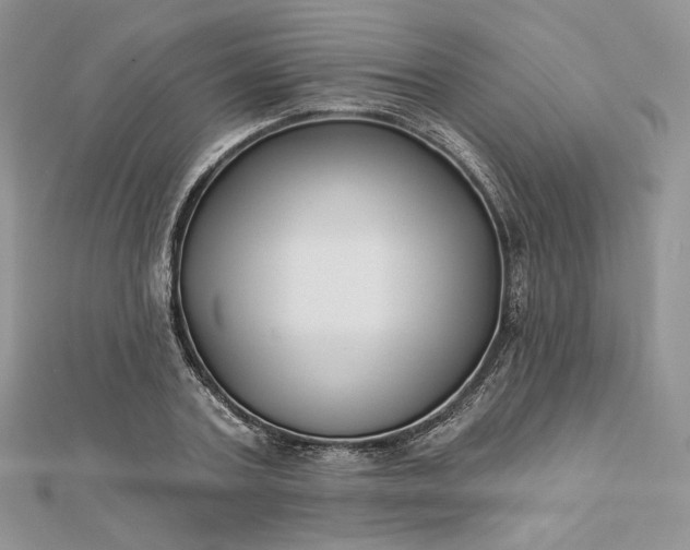X0000112890787200909041701
