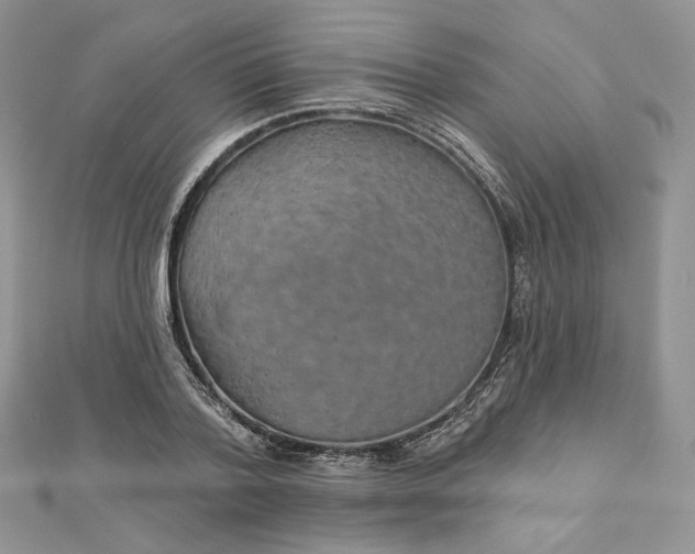 X0000112890788200909041701