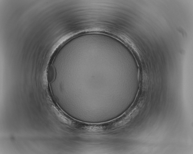 X0000112890789200909041701
