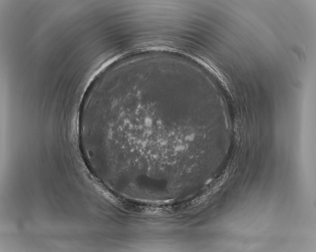 X0000112890790200909041701
