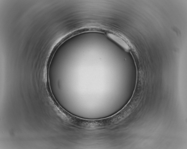 X0000112890791200909041701