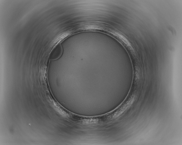 X0000112890793200909041701