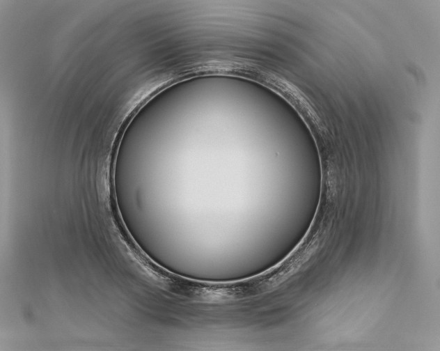 X0000112890794200909041701