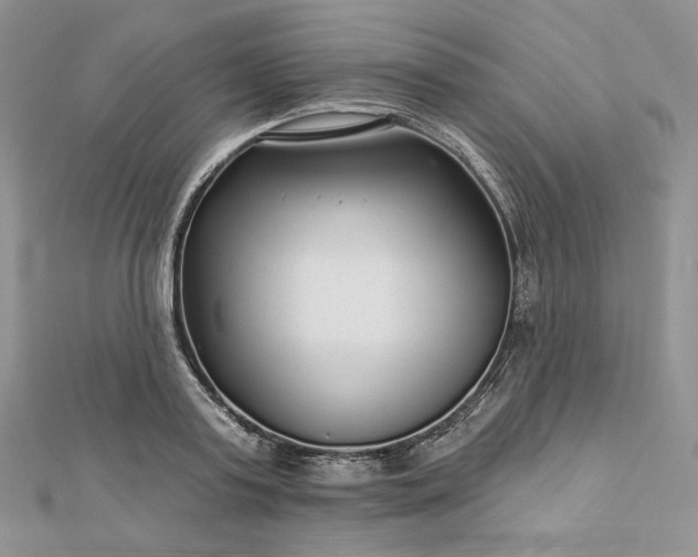 X0000112890795200909041701