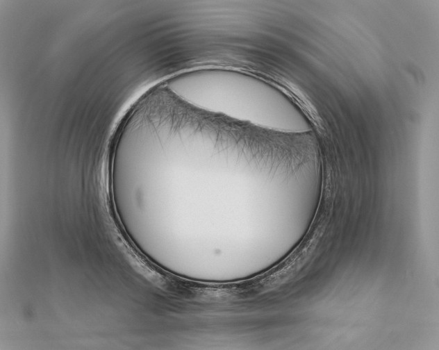 X0000112890796200909041701