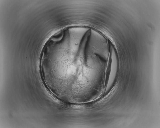 X0000112890797200909041701