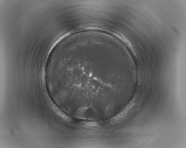 X0000112890798200909041700