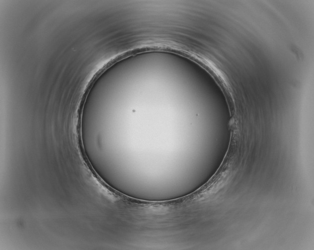 X0000112890799200909041700