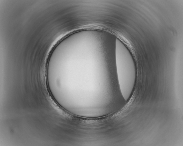 X0000112890800200909041700