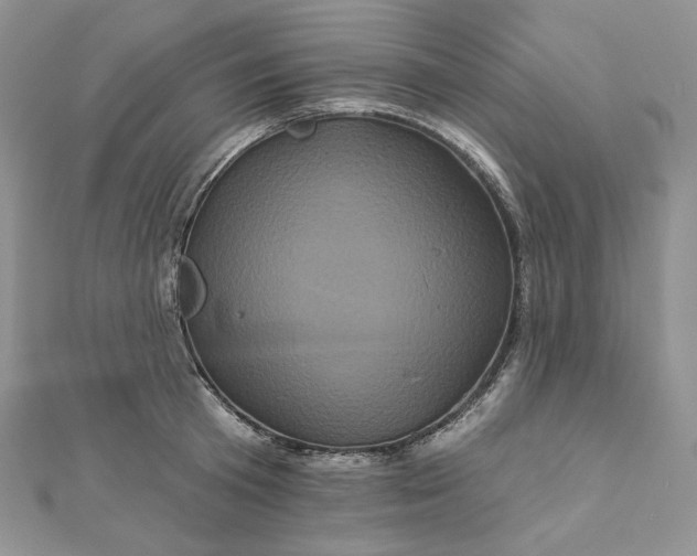 X0000112890801200909041700