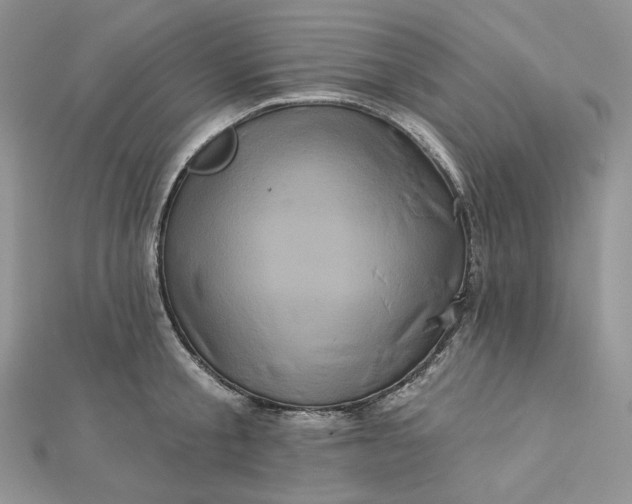 X0000112890805200909041700