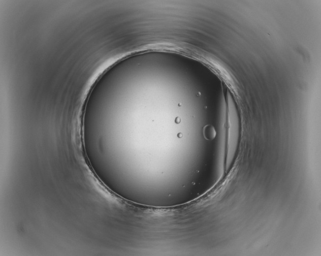 X0000112890808200909041700