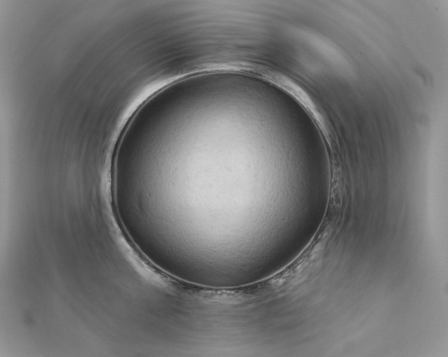 X0000112890811200909041700
