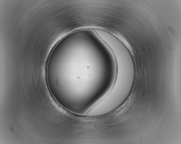 X0000112890813200909041700