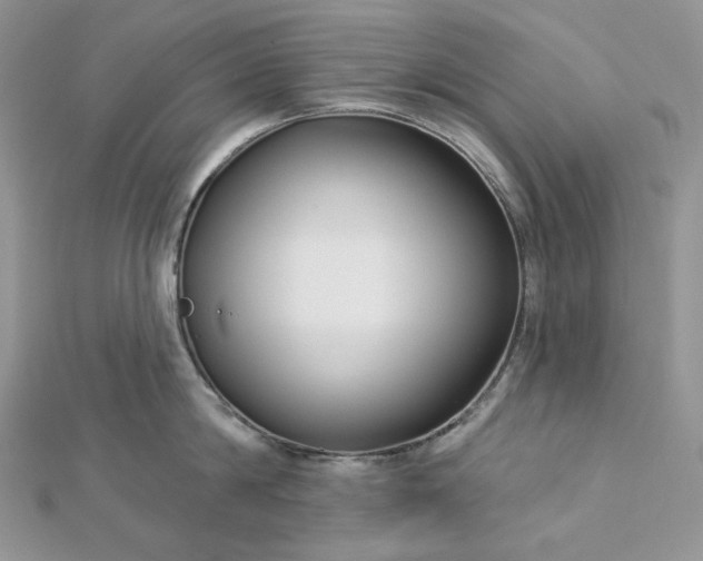 X0000112890814200909041700