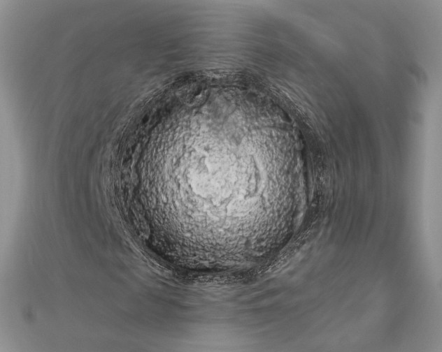 X0000112890817200909041700