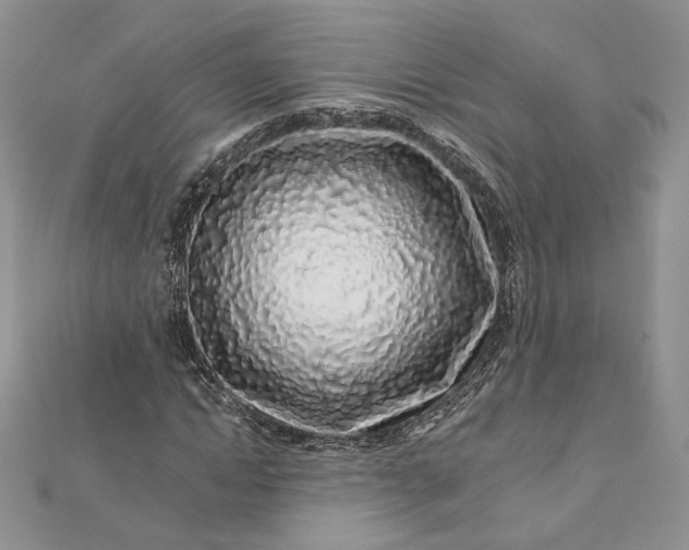 X0000112890822200909041700