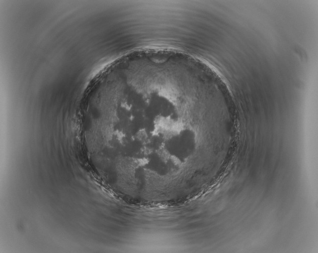 X0000112890823200909041700
