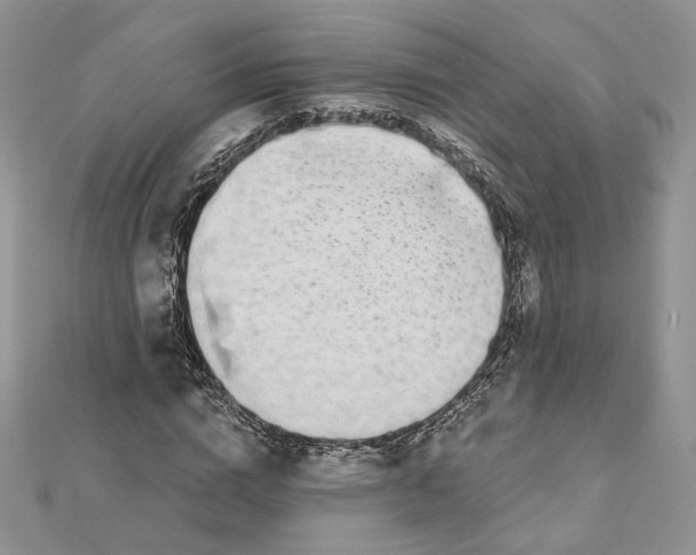 X0000112890824200909041700