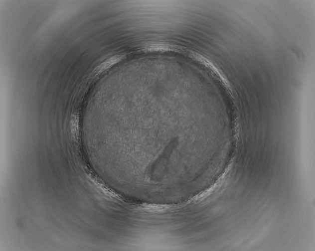 X0000112890825200909041700