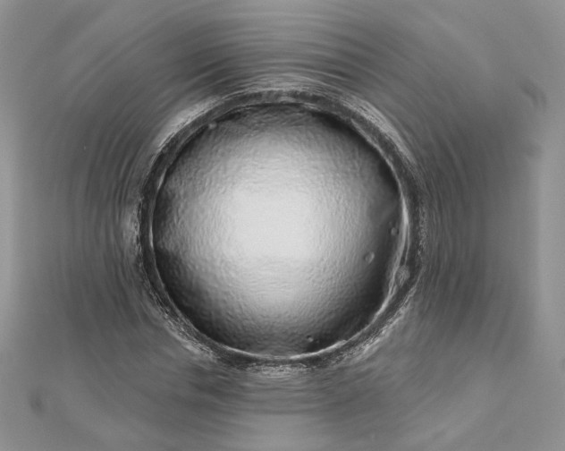 X0000112890826200909041700