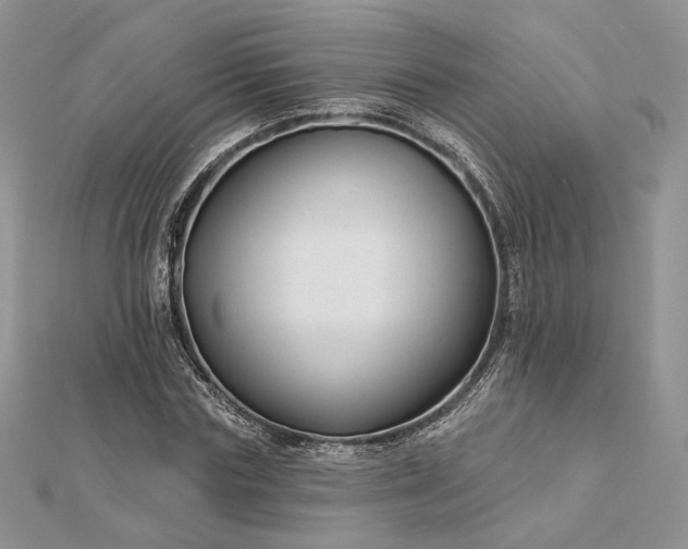 X0000112890827200909041700