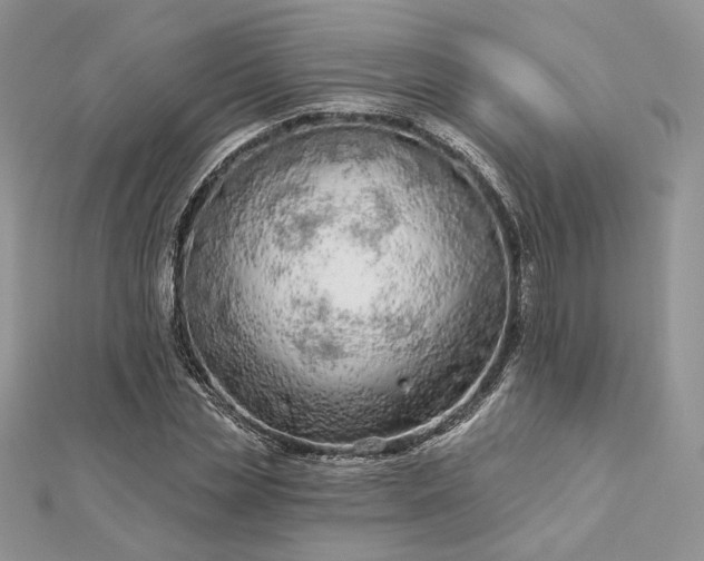 X0000112890829200909041700