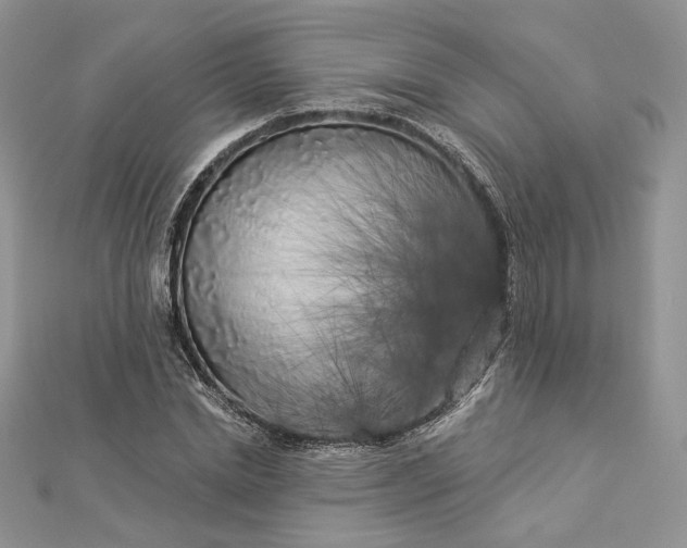 X0000112890830200909041700