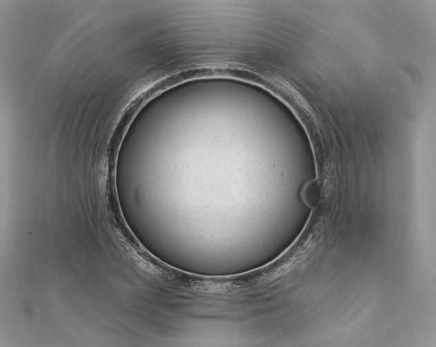 X0000112890831200909041700