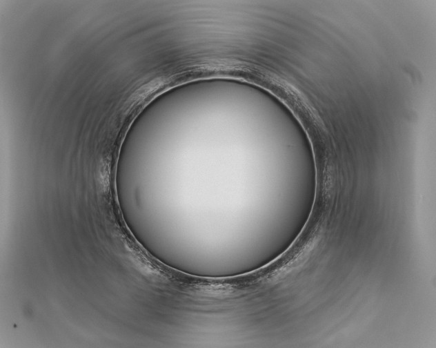 X0000112890833200909041700