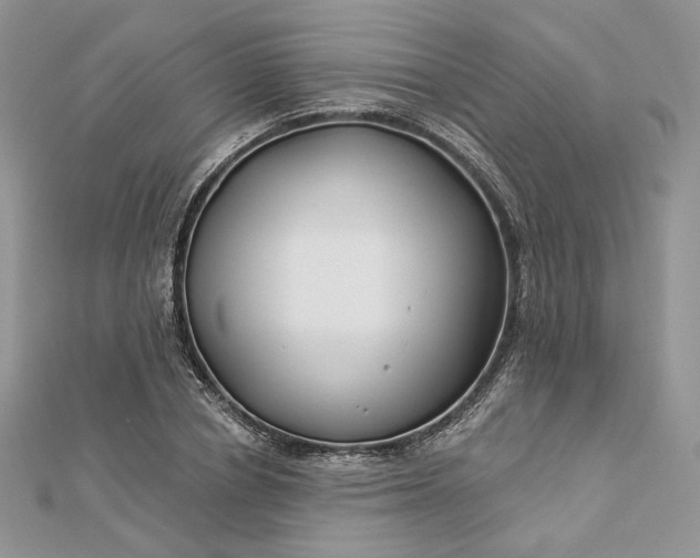X0000112890834200909041700