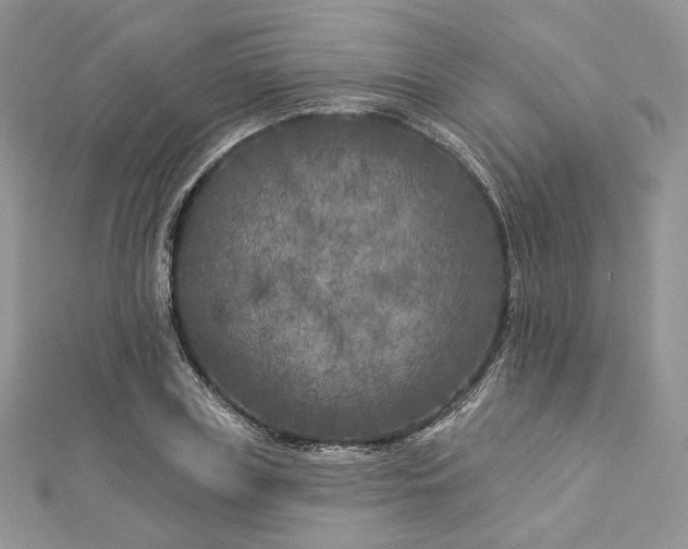 X0000112890835200909041700