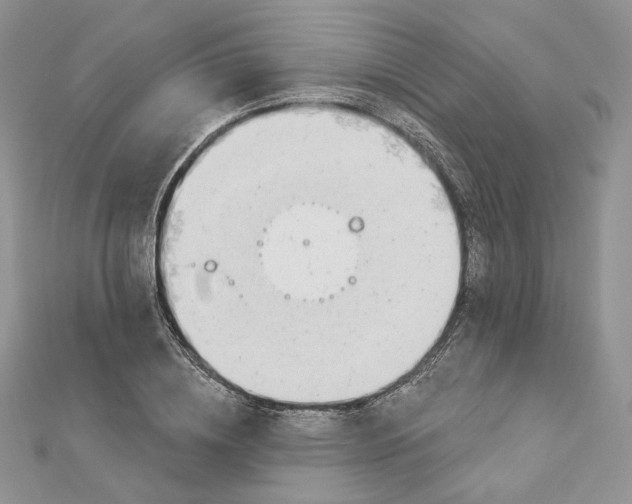X0000112890836200909041700