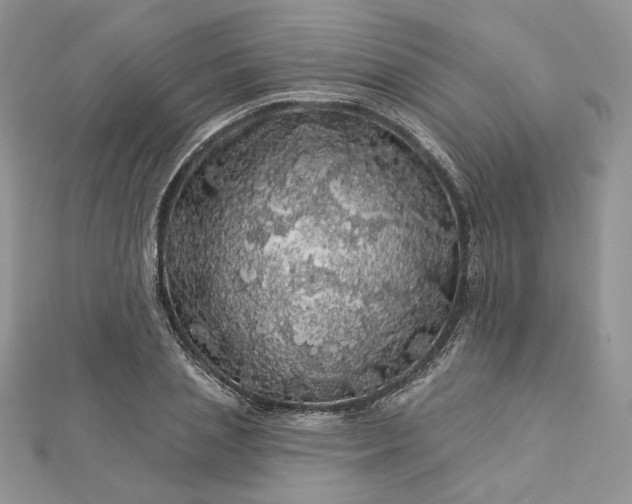 X0000112890837200909041700