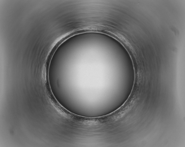 X0000112890838200909041700