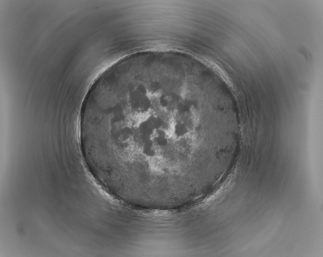 X0000112890839200909041700