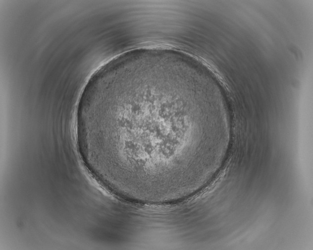 X0000112890840200909041700