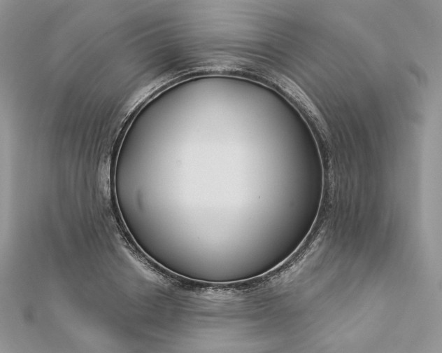 X0000112890842200909041700