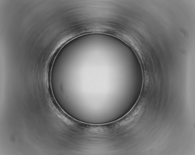 X0000112890843200909041700