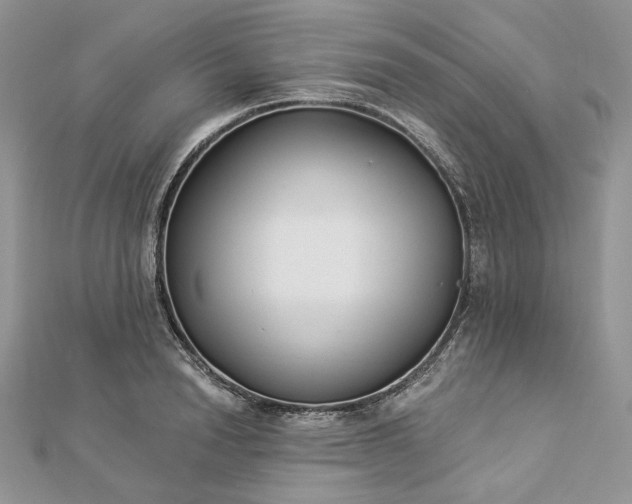 X0000112890846200909041700