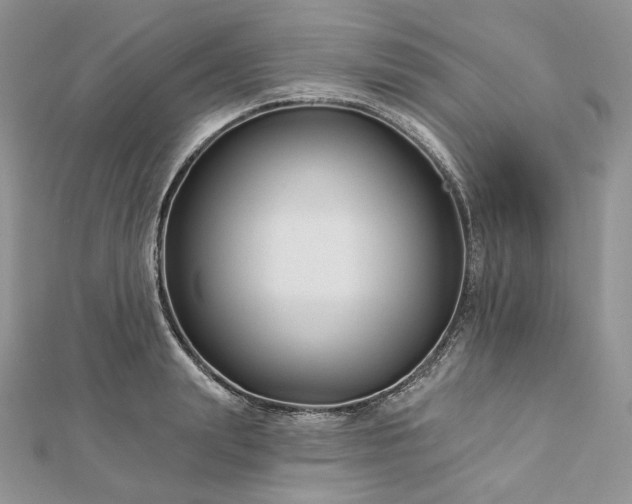 X0000112890847200909041700