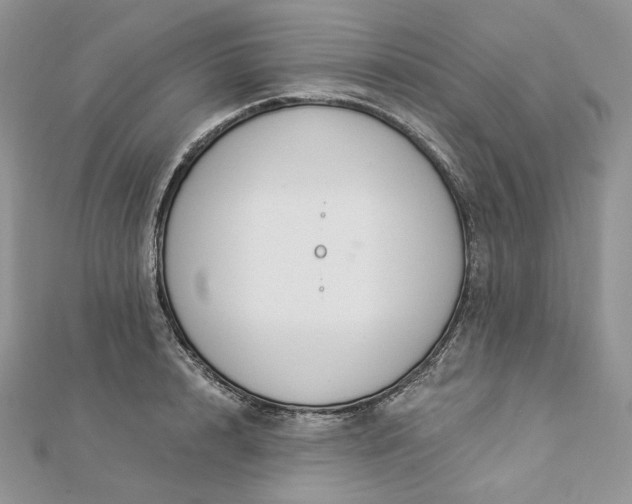 X0000112890848200909041700