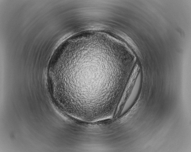 X0000112890850200909041700