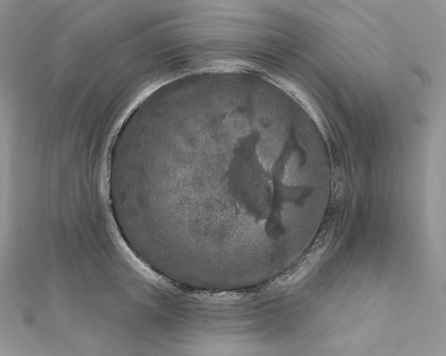 X0000112890851200909041700